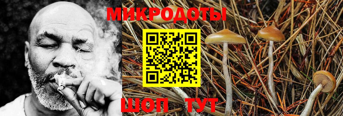 где продают наркотики  Вход с VPN  Осинники  Псилоцибиновые грибы MAGIC MUSHROOMS  Галлюциногенные грибы Psilocybine cubensis 