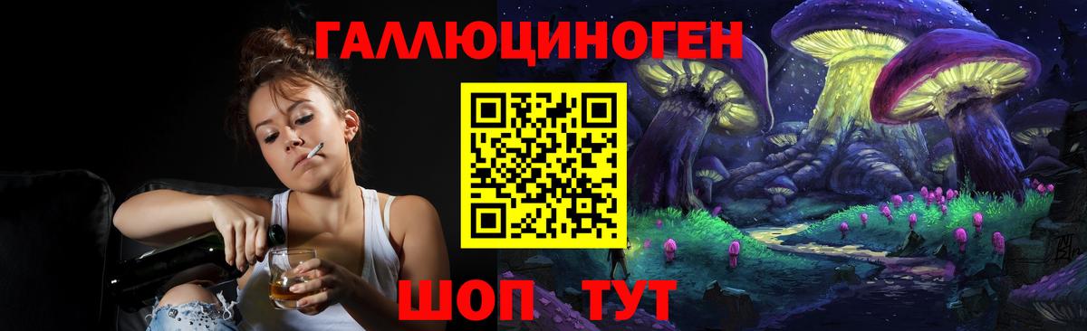 Галлюциногенные грибы Cubensis Осинники